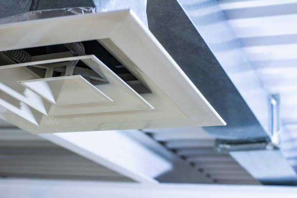 Best HVAC Duct Inspection Services  in Baldwin, MI
