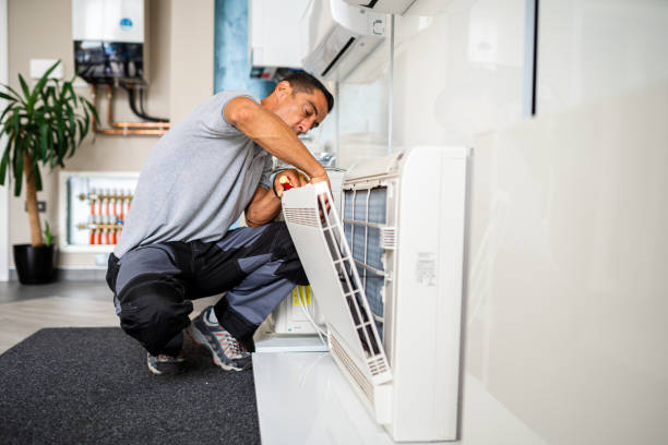 Best Home Air Vent Cleaning  in Baldwin, MI